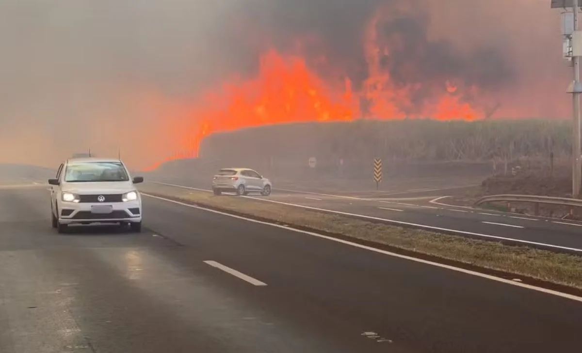 Companhias aéreas cancelam voos por fumaça de incêndios no interior de SP