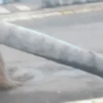 Temporal abre cratera e derruba palmeira em avenida do Guanandi