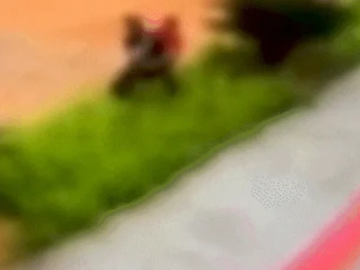 Mulher arrastada por ladrão no Noroeste: 'Fiquei com medo de morrer