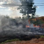 Multas por queimadas e sujeira podem chegar a R$ 1,4 milhão