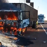 Bois soltos na MS-395 após carreta pegar fogo