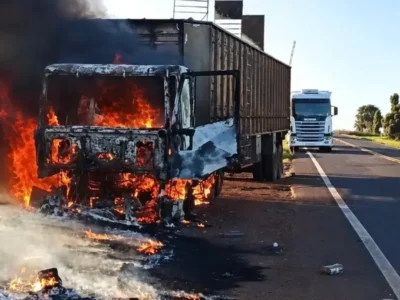 Bois soltos na MS-395 após carreta pegar fogo