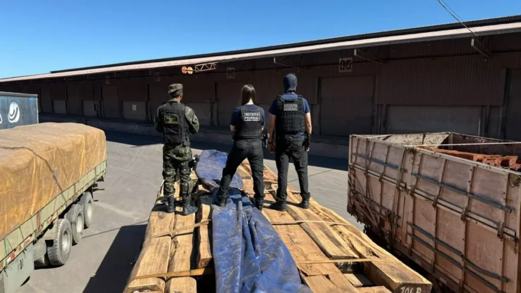 Testes negativos para cocaína em maior apreensão de madeira