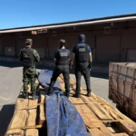 Testes negativos para cocaína em maior apreensão de madeira