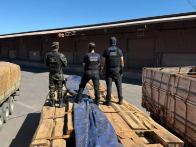 Testes negativos para cocaína em maior apreensão de madeira