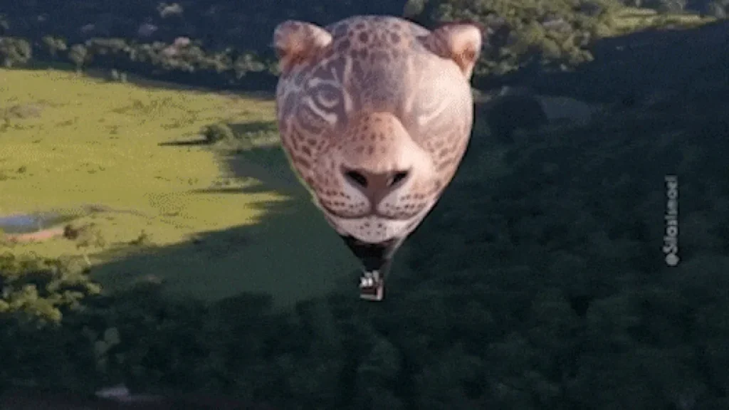 Balão Onça-Pintada inédito sobrevoa o Pantanal