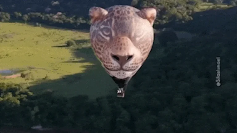 Balão Onça-Pintada inédito sobrevoa o Pantanal