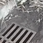 Limpeza de bueiro é "enxugar gelo" em Campo Grande