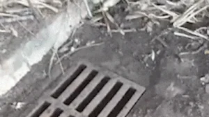 Limpeza de bueiro é "enxugar gelo" em Campo Grande