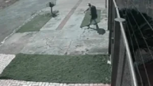 Ladrão foge com TV e R$ 200 em furto na Vila Ipiranga