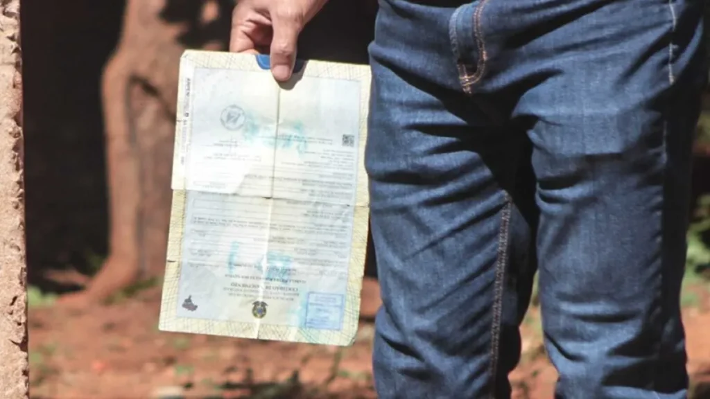 MS: 9 crianças por dia são registradas sem nome do pai