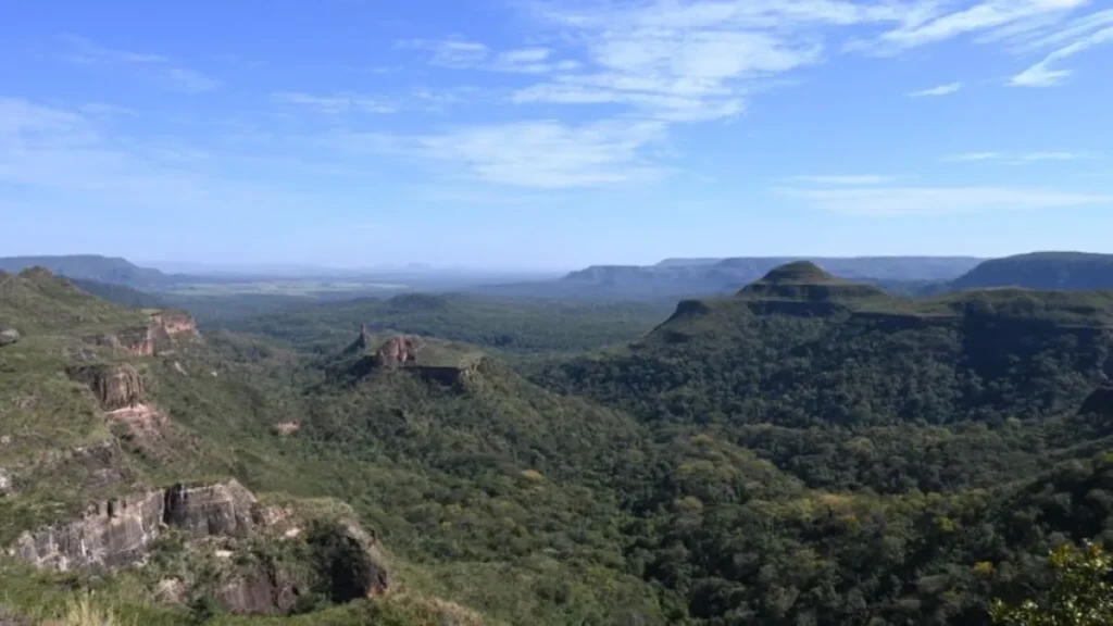 Pantanal reduz desmate em 65% e Cerrado 11,5%