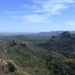 Pantanal reduz desmate em 65% e Cerrado 11,5%