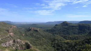 Pantanal reduz desmate em 65% e Cerrado 11,5%