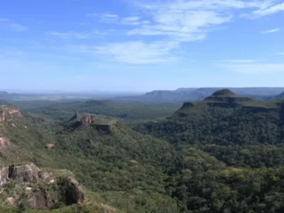Pantanal reduz desmate em 65% e Cerrado 11,5%